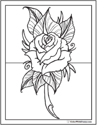 qhy5 ii coloring pages of a rose - photo #42