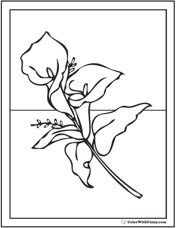 calla flowers coloring pages - photo #28