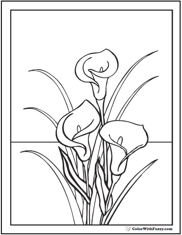 calla flowers coloring pages - photo #4