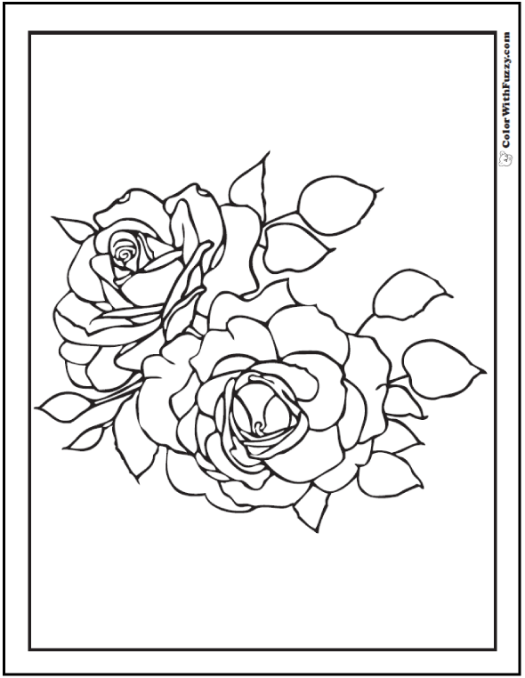 qhy5 ii coloring pages of a rose - photo #37