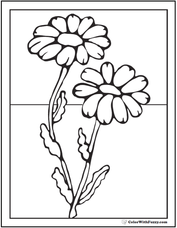 daisy flower printable coloring pages - photo #34