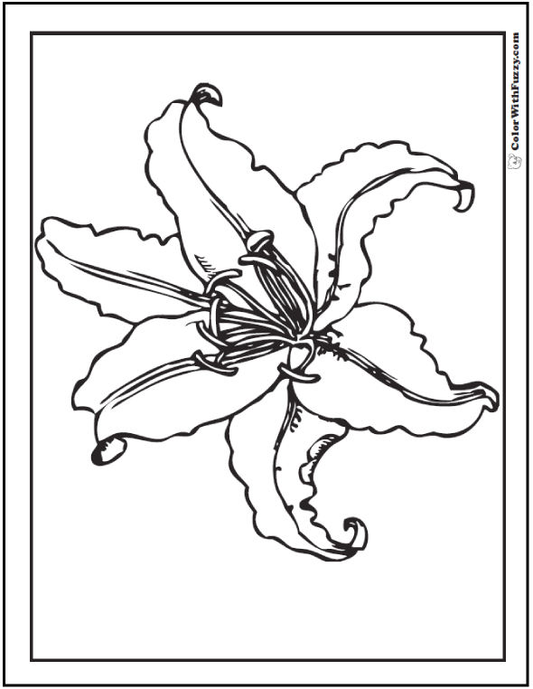 calla lillies coloring pages - photo #23
