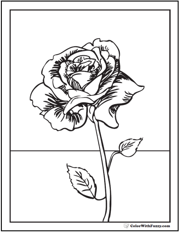 73+ Rose Coloring Pages: Customize PDF Printables