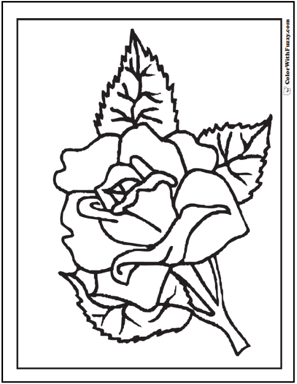 73 Rose Coloring Pages Customize PDF Printables