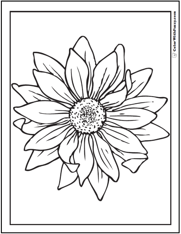 Sunflower Coloring Page 14 PDF Printables