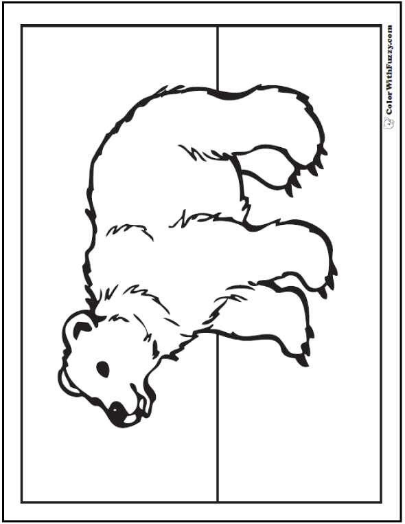 Bear Coloring Pages Grizzlies Koalas Pandas Polar And Teddy Bears