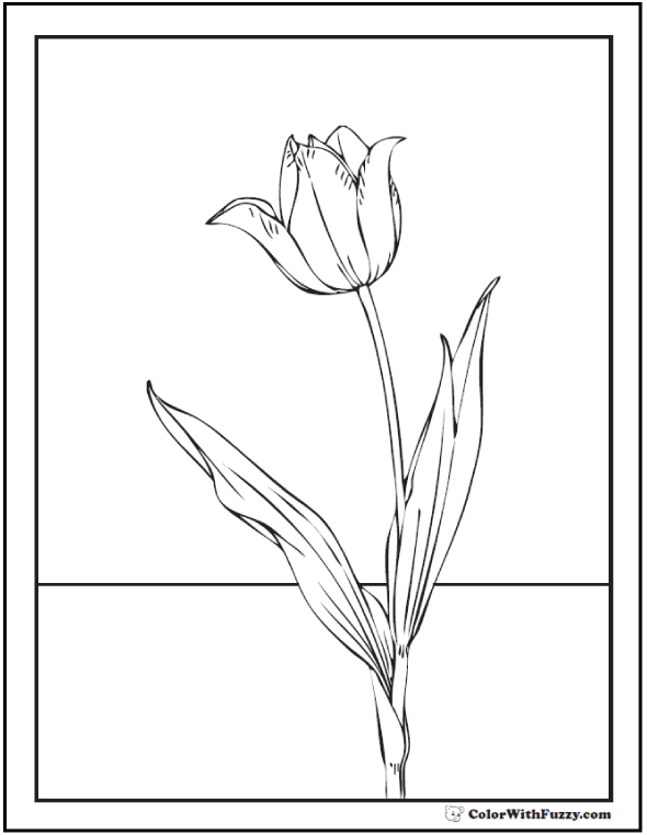 Tulip Flower Coloring Pages: 14+ PDF Printables