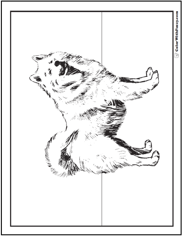 samoyed coloring pages - photo #14