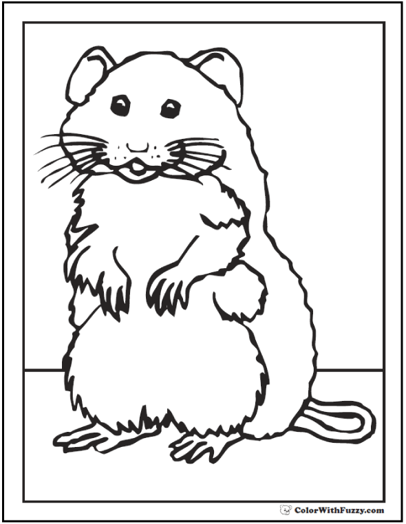 Mouse Coloring Pages To Print - Free Printable Mickey Mouse Coloring Pages For Kids : Here are fun free printable mouse coloring pages for children.