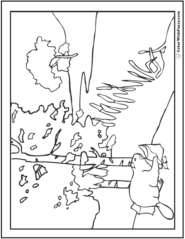 Beaver Coloring Pages: Beaver Dams And Habitat
