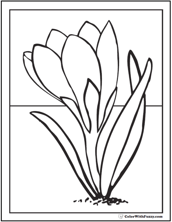 28+ Spring flowers Coloring Page Spring Digital Downloads