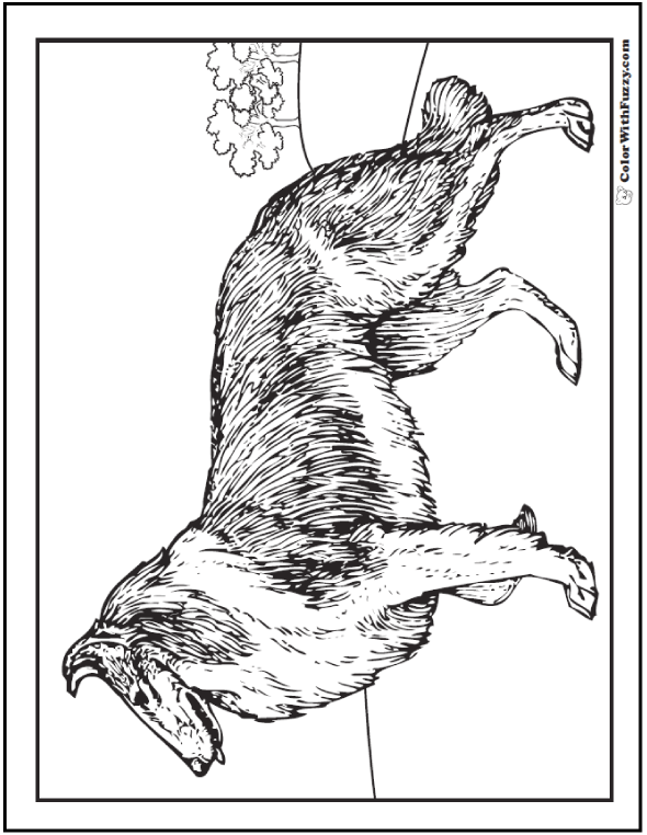 35 Dog Coloring Pages Breeds Bones And Dog Houses