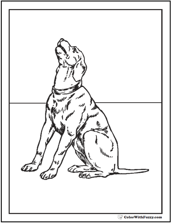 coloring pages of labrador retrievers