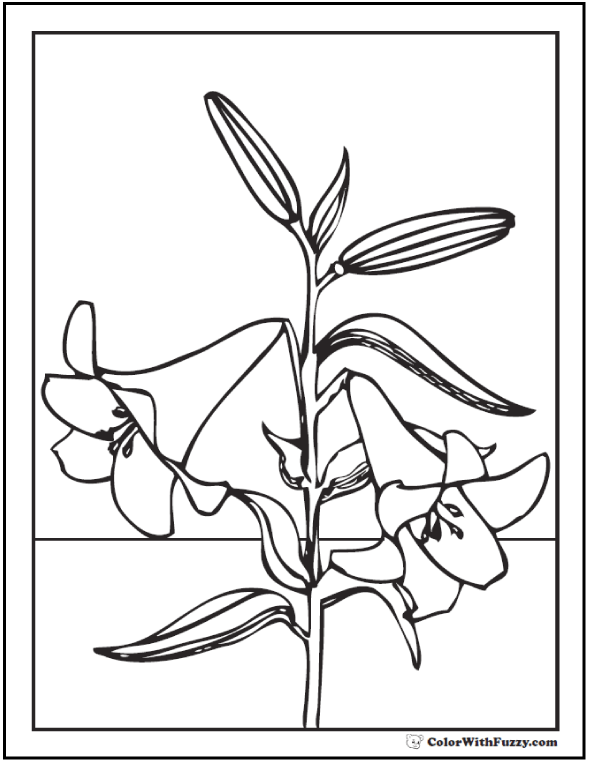 Lily Coloring Pages: Customize 12+ PDF Printables