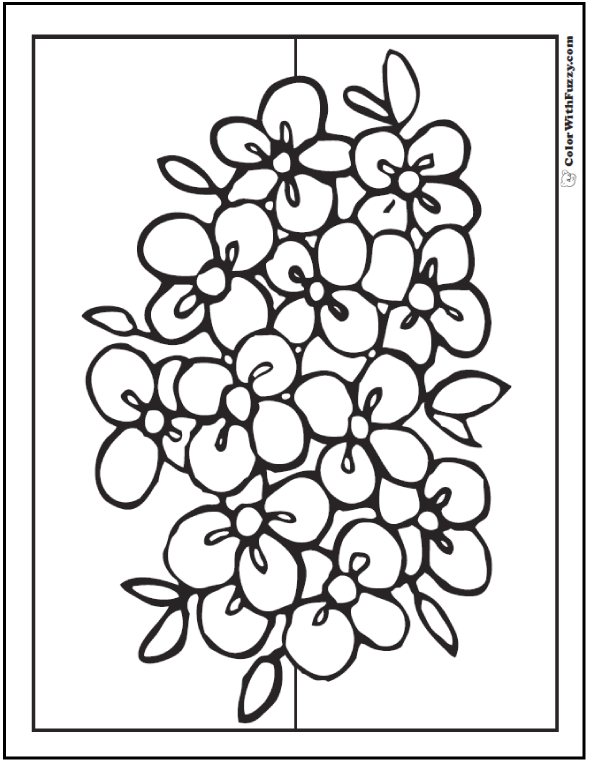 102 Flower Coloring Pages Print Ad Free Pdf Downloads