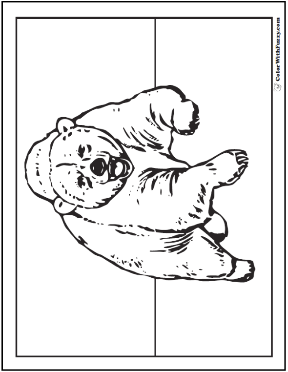 420  Bear Coloring Pages Adults  Free