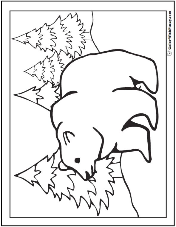 A Grizzly Bear Coloring Page Is Exciting!