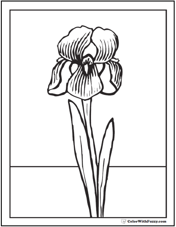 Download Spring flowers Coloring Page 28+ Spring Coloring Pages