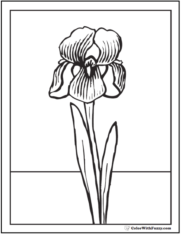 spring flowers coloring page ✨ 28 spring coloring pages