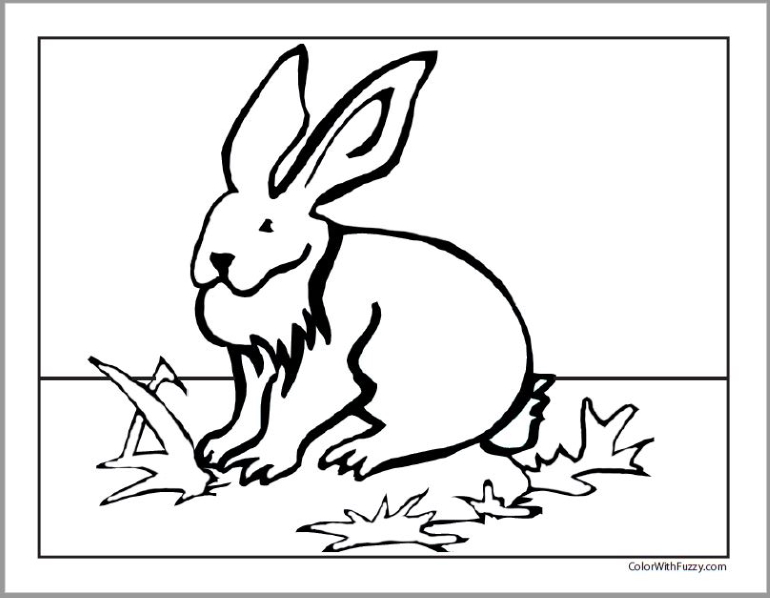 Jack rabbit bunny coloring page