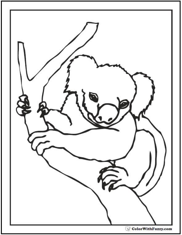 Koala Coloring Pages For Kids: Hop A Ride With a Koala!