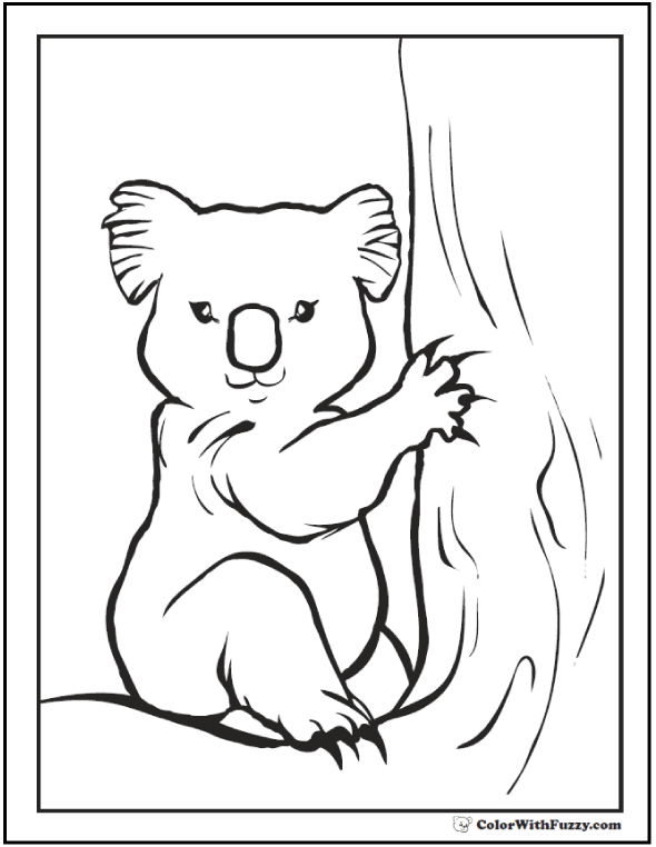 Koala Coloring Pages For Kids: Hop A Ride With a Koala!