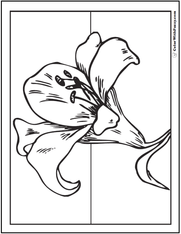 Download Lily Coloring Pages: Customize 12+ PDF Printables