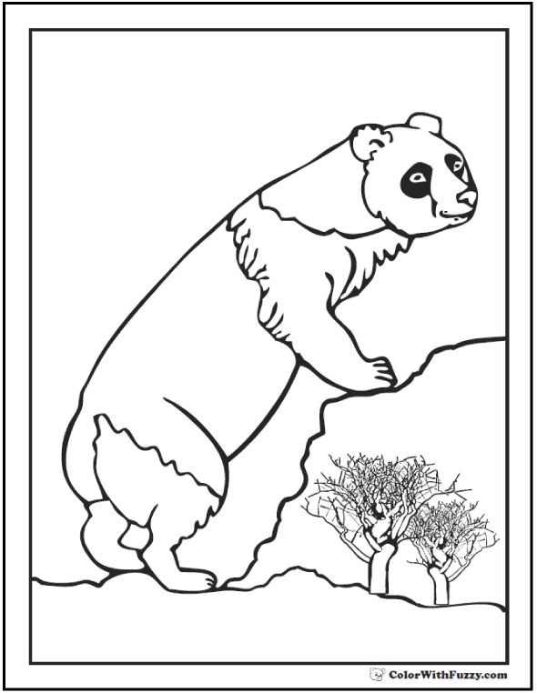 Panda bonito a comer bambu - Pandas - Coloring Pages for Adults