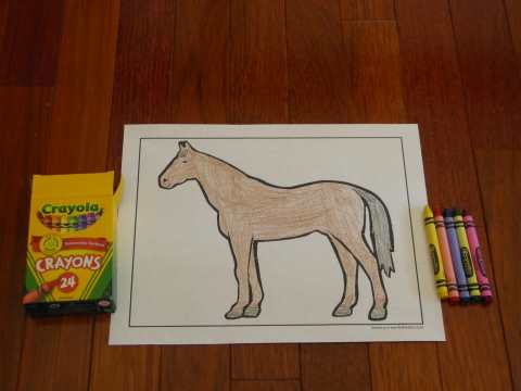 Beautiful horse coloring pages to print.