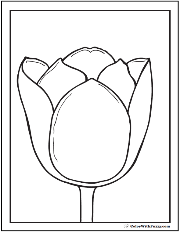 Tulip Flower Coloring Pages: 14+ PDF Printables