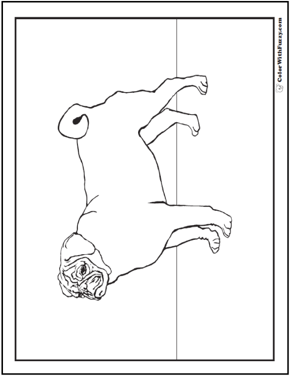 Dog Coloring Pages: Pug Dog