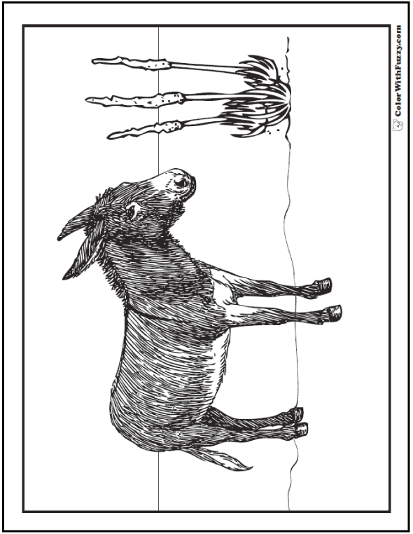 Realistic desert donkey coloring pages.