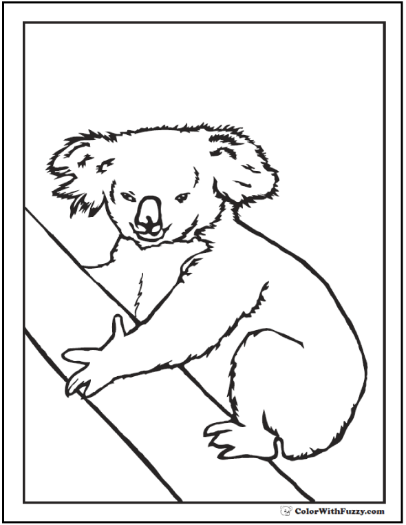 Download Koala Coloring Pages For Kids: Hop A Ride With a Koala!
