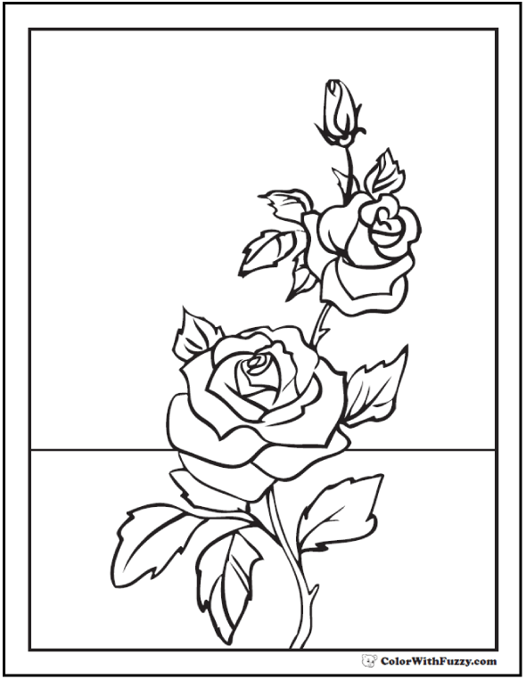 Free Printable Rose Coloring Pages for Kids and Adults