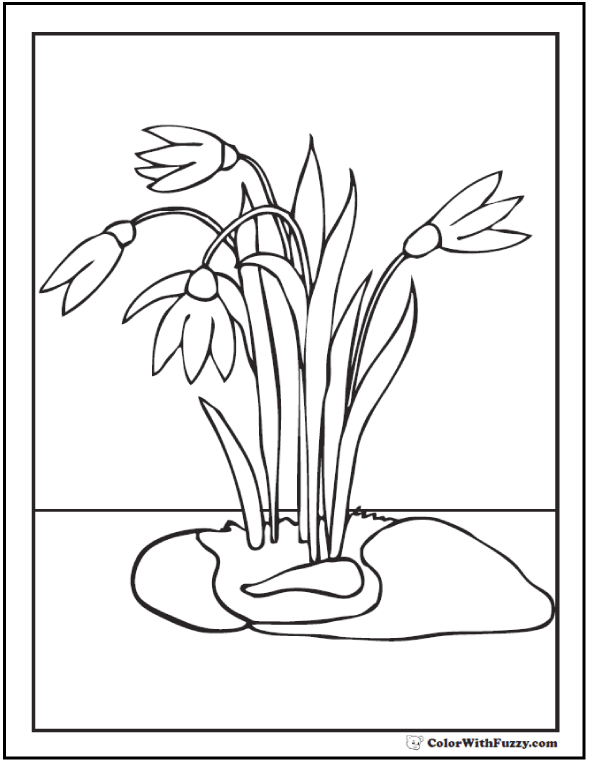 spring flowers coloring page ✨ 28 spring coloring pages