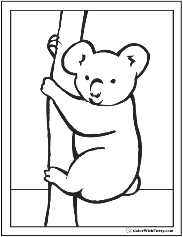 Download Koala Coloring Pages For Kids: Hop A Ride With a Koala!