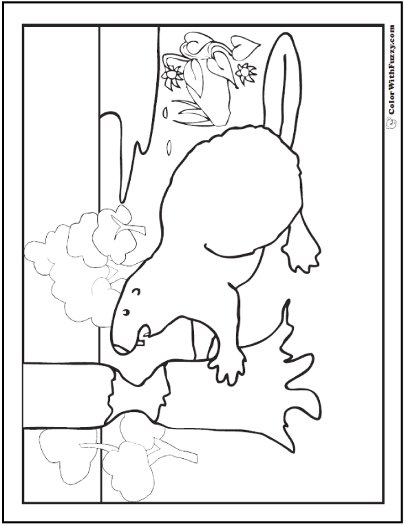 Beaver Coloring Pages Beaver Dams And Habitat