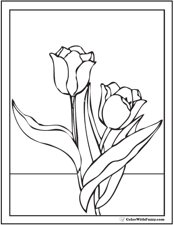 Tulip Flower Coloring Pages: 14+ PDF Printables