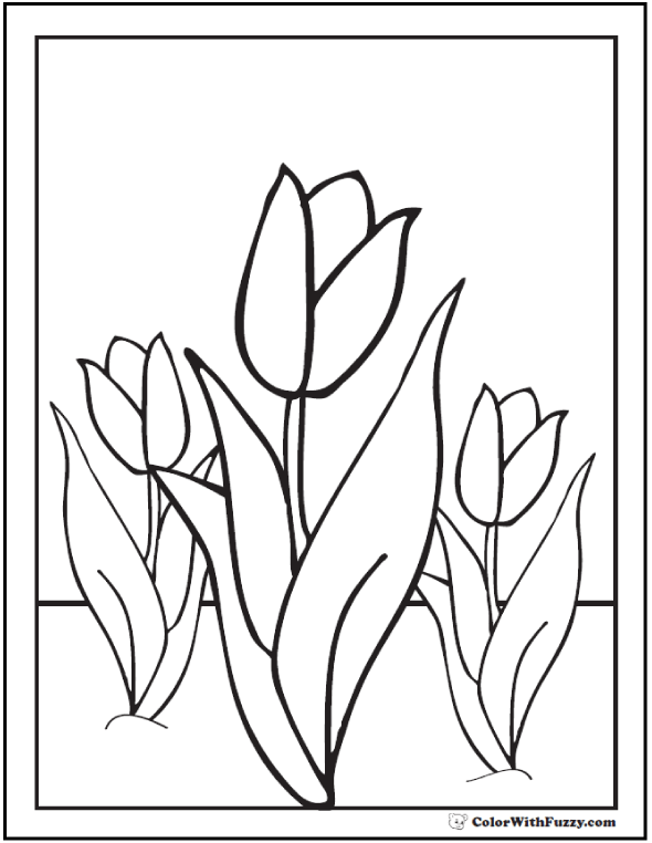 tulip flower coloring pages 14 pdf printables