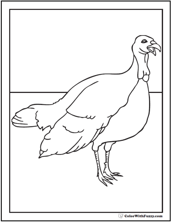 710 Top Turkey Bird Coloring Pages Pictures