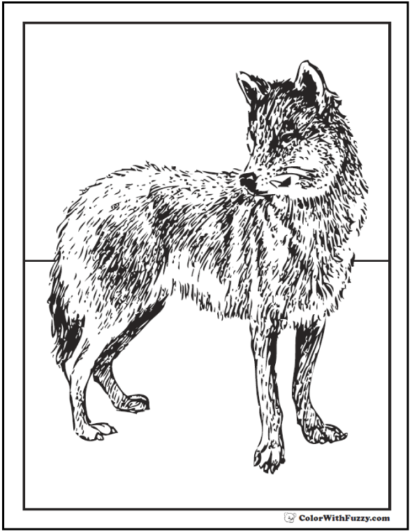 Featured image of post Wolf Pictures To Color And Print - 2,000 wolf images &amp; pictures.