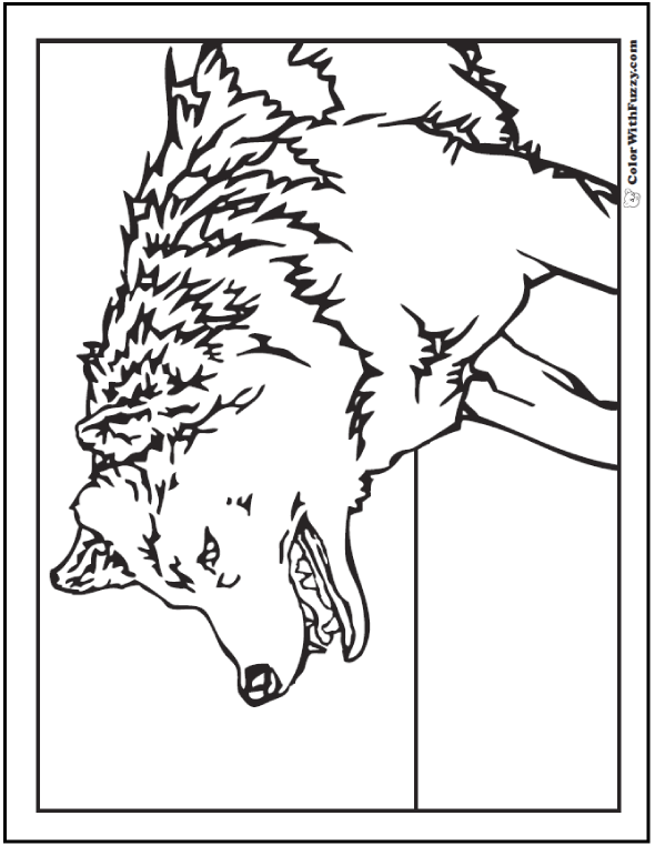 46 Wolf Coloring Pages Online  Free